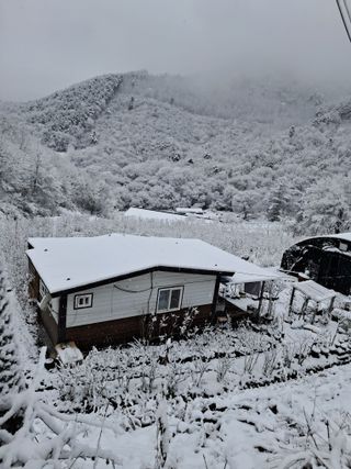 GH장수기호농님의 자유주제 · 자유게시판 작성글 사진