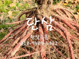 단삼님의 기타작물 · 자유게시판 작성글 사진