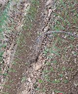 팜모닝 자유주제·건의해요 게시글 이미지