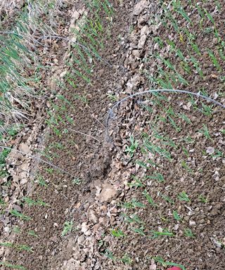 엄인영님의 자유주제 · 건의해요 작성글 사진