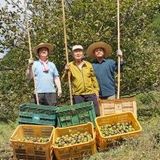 팜모닝 기타작물·자유게시판 게시글 이미지