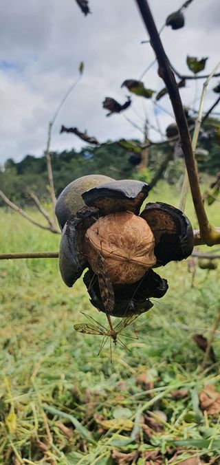 이명기님의 기타작물 · 자유게시판 작성글 사진