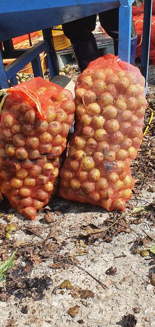 이명기님의 기타작물 · 자유게시판 작성글 사진