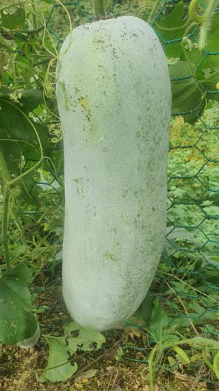 退役軍人 劉永喆님의 자유주제 · 자유게시판 작성글 사진