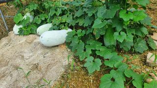 退役軍人 劉永喆님의 자유주제 · 자유게시판 작성글 사진