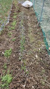 팜모닝 자유주제·자유게시판 게시글 이미지