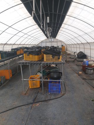 구절초님의 자유주제 · 자유게시판 작성글 사진