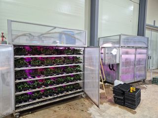 김동수님의 고구마 · 자유게시판 작성글 사진