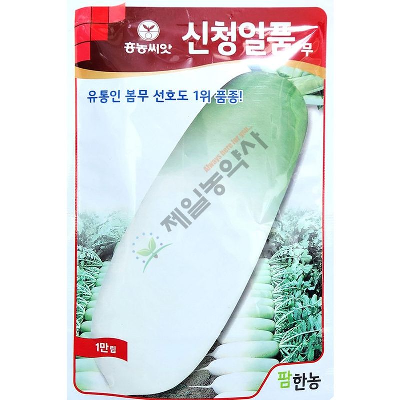 장터 상품 [신청일품무 만립 25년포장] 썸네일