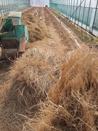 안비님의 고추 · 토양준비 작성글 사진