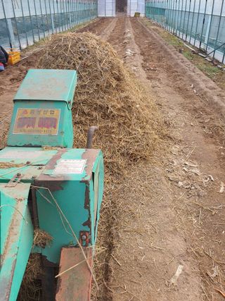 안비님의 고추 · 토양준비 작성글 사진