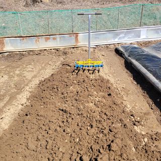 박기식 님의 자유주제 · 자유게시판 작성글 사진