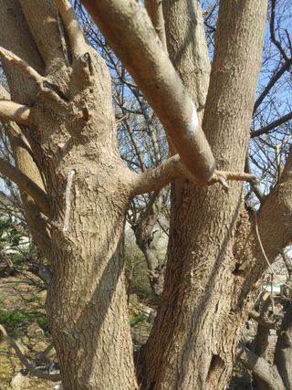 상추12428님의 농사, 무엇이든 물어보세요! · 참여글 작성글 사진