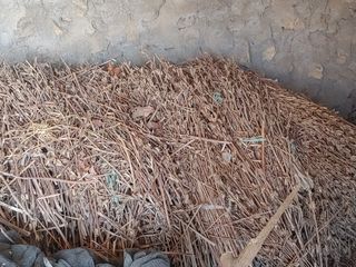 상추12428님의 농사, 무엇이든 물어보세요! · 참여글 작성글 사진