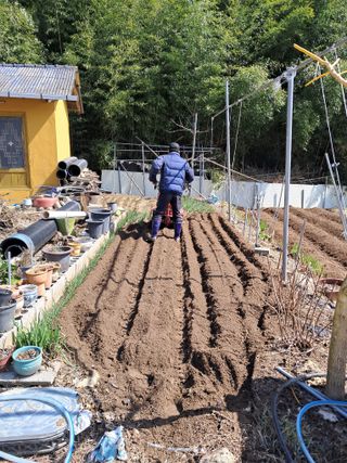 정이오가네농원님의 자유주제 · 자유게시판 작성글 사진
