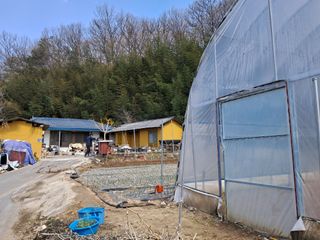 정이오가네농원님의 자유주제 · 자유게시판 작성글 사진