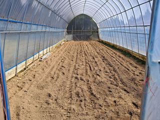 정이오가네농원님의 자유주제 · 자유게시판 작성글 사진