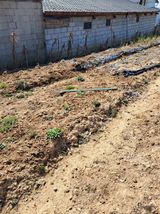 팜모닝 자유주제·자유게시판 게시글 이미지