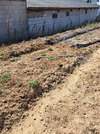 윤문옥님의 자유주제 · 자유게시판 작성글 사진