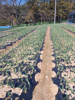 윤문옥님의 자유주제 · 자유게시판 작성글 사진