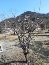 팜모닝 자유주제·사진전 게시글 이미지