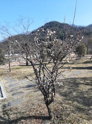 이명숙님의 자유주제 · 사진전 작성글 사진