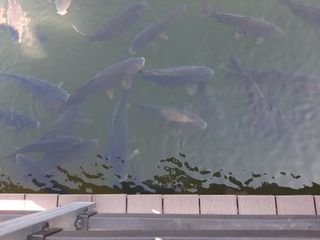 이명숙님의 자유주제 · 사진전 작성글 사진