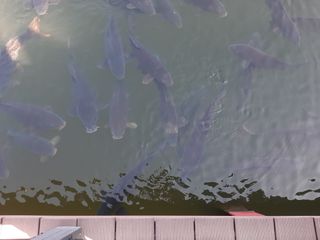 이명숙님의 자유주제 · 사진전 작성글 사진