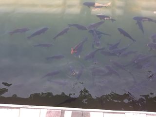 이명숙님의 자유주제 · 사진전 작성글 사진