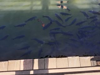 이명숙님의 자유주제 · 사진전 작성글 사진