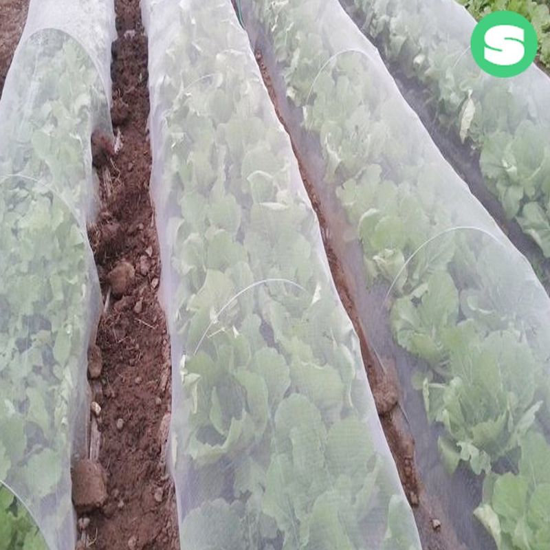 장터 상품 [한냉사 해충방지망 농작물보호망 한랭사] 썸네일