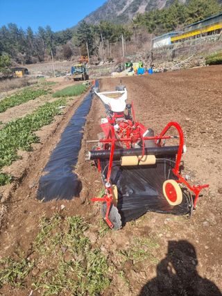 정영기대산축산농부♡님의 감자 · 영농일지 작성글 사진