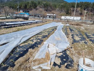 참깨16081님의 참깨 · 영농일지 작성글 사진