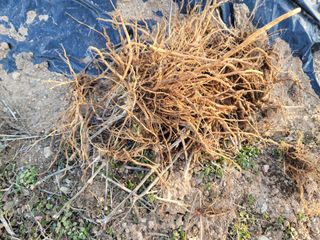 배고파요님의 자유주제 · 자유게시판 작성글 사진