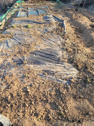 배고파요님의 자유주제 · 자유게시판 작성글 사진