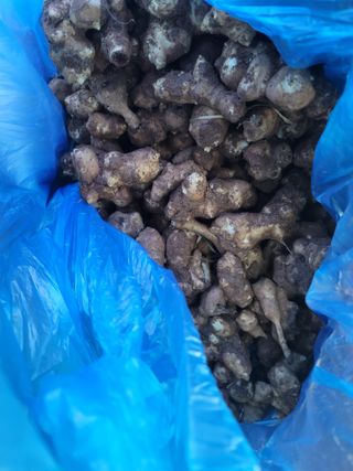 배고파요님의 자유주제 · 자유게시판 작성글 사진