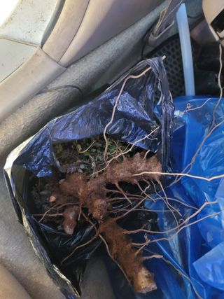 배고파요님의 자유주제 · 자유게시판 작성글 사진