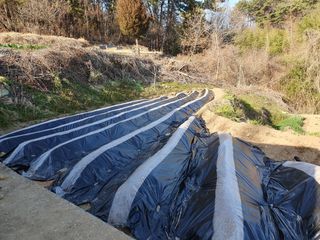 이미영님의 감자 · 영농일지 작성글 사진