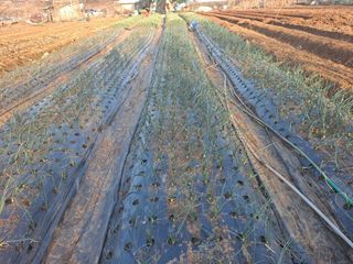 나누고싶어서님의 자유주제 · 자유게시판 작성글 사진