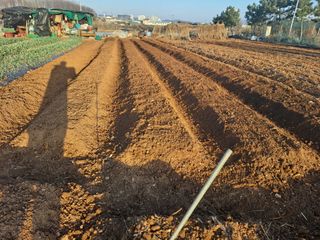 나누고싶어서님의 자유주제 · 자유게시판 작성글 사진