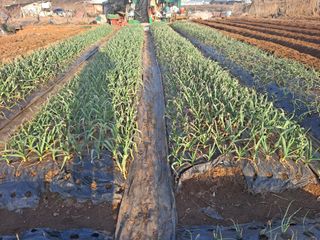 나누고싶어서님의 자유주제 · 자유게시판 작성글 사진