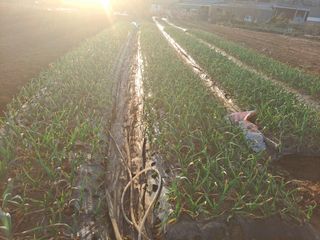 나누고싶어서님의 자유주제 · 자유게시판 작성글 사진