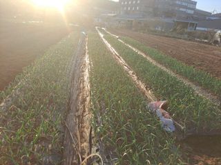 나누고싶어서님의 자유주제 · 자유게시판 작성글 사진