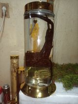 팜모닝 자유주제·사진전 게시글 이미지