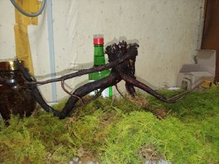 자유인 10496님의 자유주제 · 사진전 작성글 사진