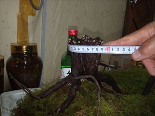 자유인 10496님의 자유주제 · 사진전 작성글 사진