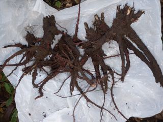 자유인 10496님의 자유주제 · 사진전 작성글 사진