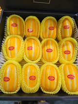 팜모닝 · 게시글 이미지