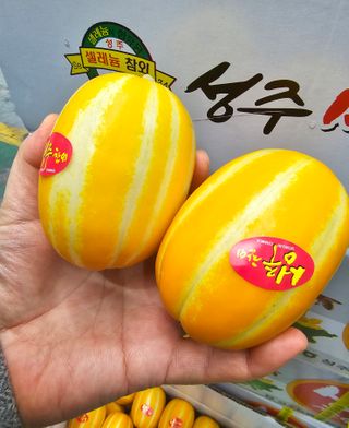 써니네님의 작성글 사진