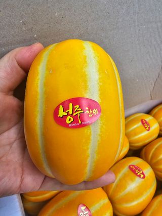 써니네님의 작성글 사진